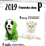 2019 année des noms en P