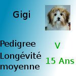 le nouveau contrat de vente du chien, du chat et des animaux de compagnie